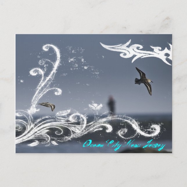 Seagull in flight postcard (Front)