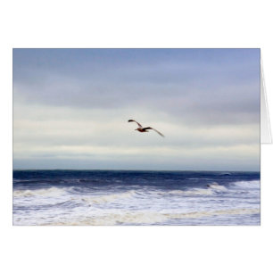 Seagull In Purple