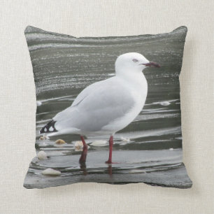 Seagull in the Sea Cushion