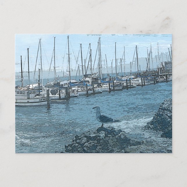 Seagull Keeping Watch Postcard (Front)