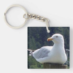 Seagull Key Ring