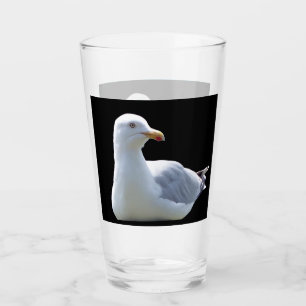 Seagull Laying Down Glass