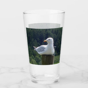 Seagull Laying Down  Glass