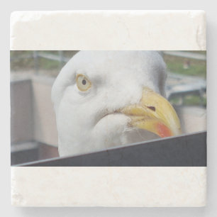 Seagull Looking Stone Coaster