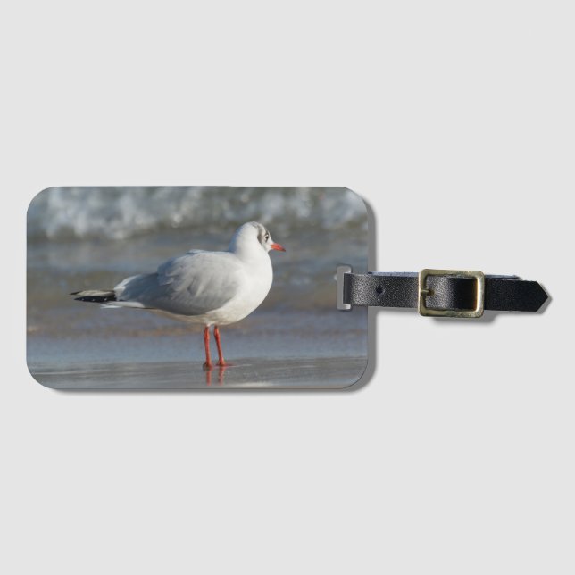 Seagull Luggage Tag (Front Horizontal)