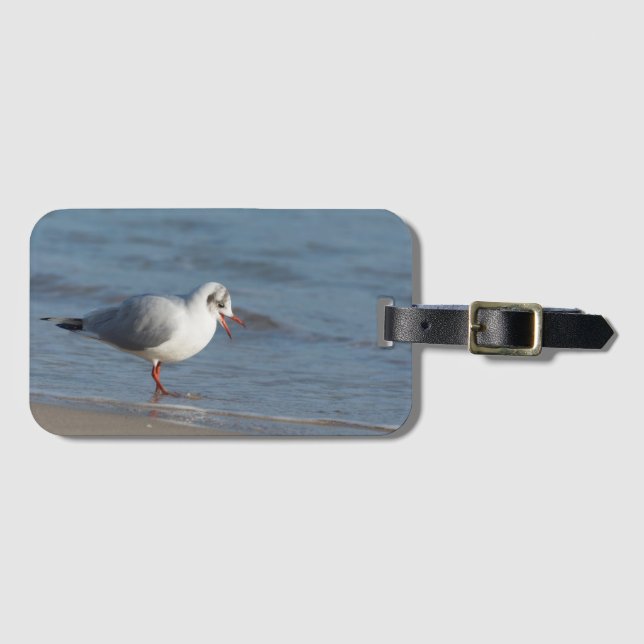 Seagull Luggage Tag (Front Horizontal)
