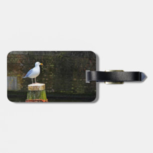 Seagull Luggage Tag