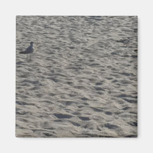 Seagull Magnets