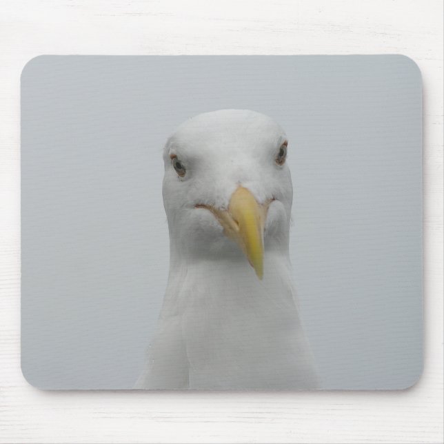 Seagull Mousepad (Front)