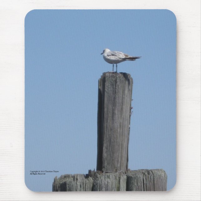 Seagull mousepad (Front)