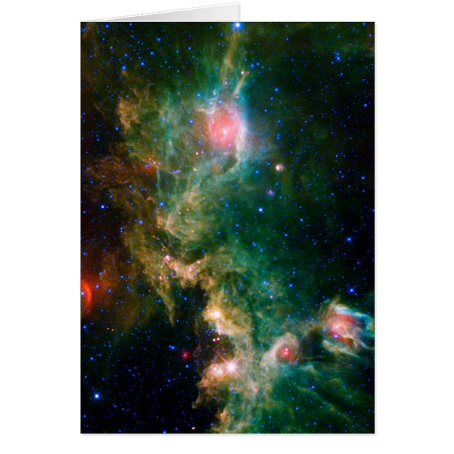 Seagull Nebula NASA Space (Front)