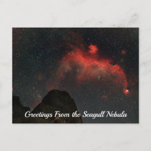 Seagull Nebula Postcard