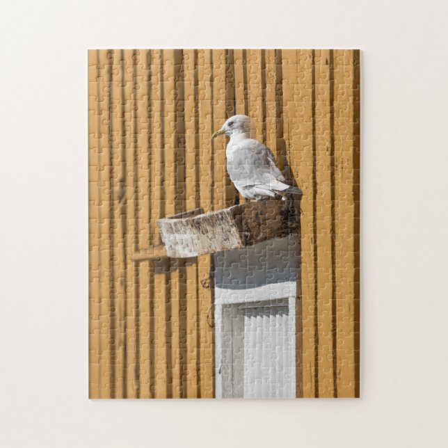 Seagull Norway Jigsaw Puzzle (Vertical)