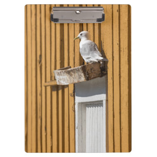 Seagull Norwegian House Clipboard
