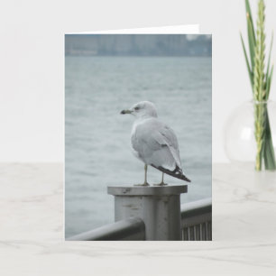 Seagull Note Card