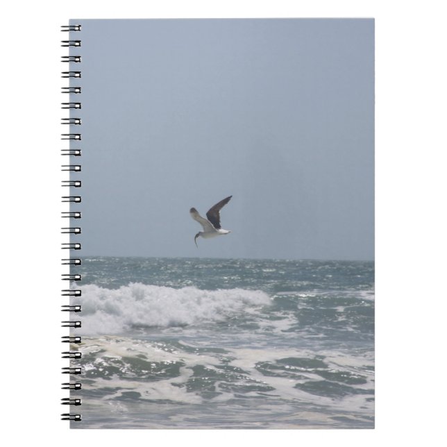 Seagull Notebook (Front)