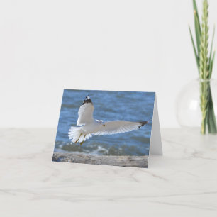 Seagull Notecard