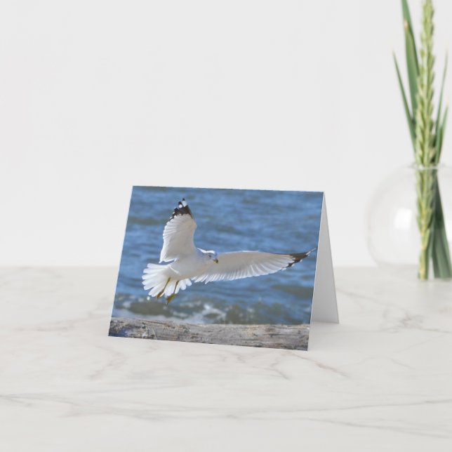 Seagull Notecard (Front)