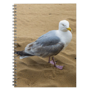 Seagull on a beach notebook