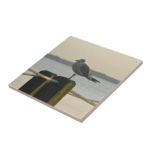 Seagull on a Post Tile