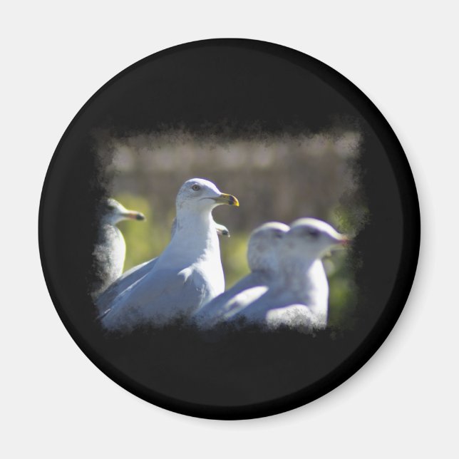 Seagull on a Rail Magnet (Front)