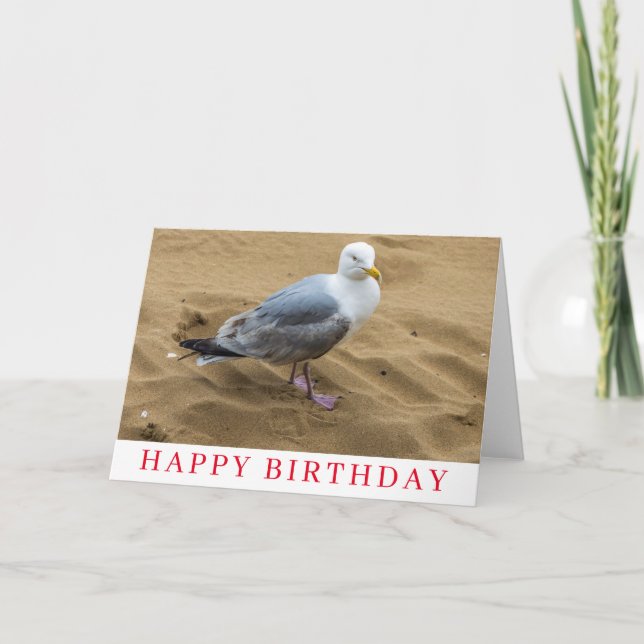 Seagull on a sandy beach birthday card (Front)