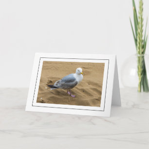 Seagull on a sandy beach greeting card