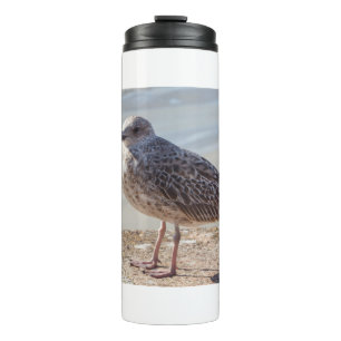 Seagull on a wall thermal tumbler
