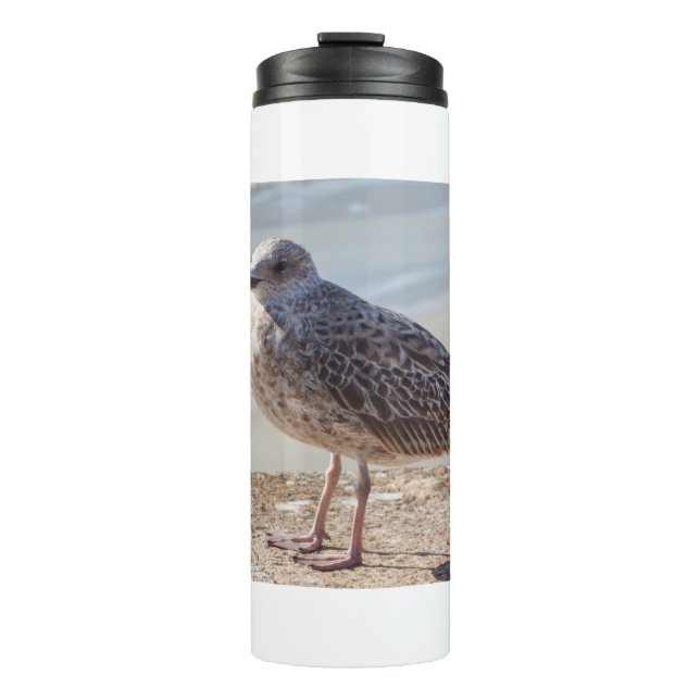 Seagull on a wall thermal tumbler (Front)