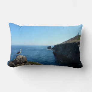 Seagull on Anacapa Island at Channel Islands Lumbar Cushion