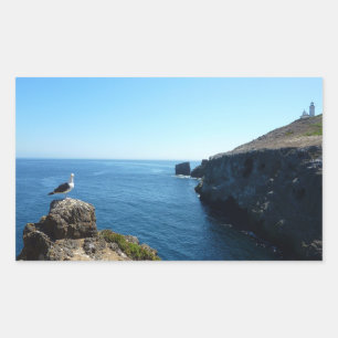 Seagull on Anacapa Island at Channel Islands Rectangular Sticker