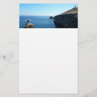 Seagull on Anacapa Island at Channel Islands Stationery