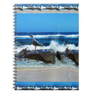 Seagull On Beach Rocks, Notebook