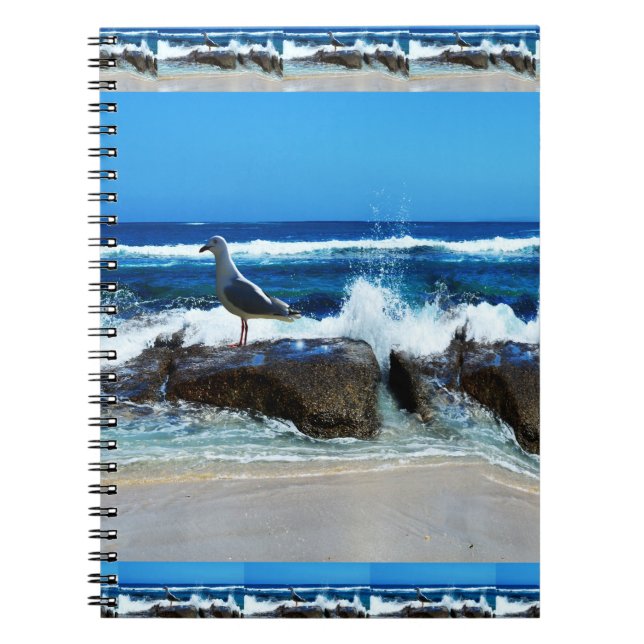 Seagull On Beach Rocks, Notebook (Front)