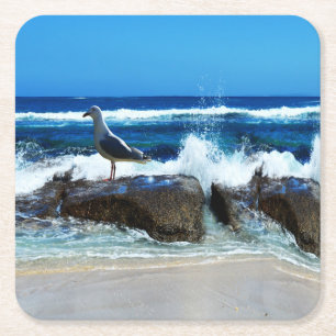 Seagull On Beach Rocks, Square Paper Coaster