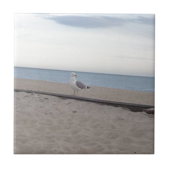 Seagull on Beach Tile (Front)