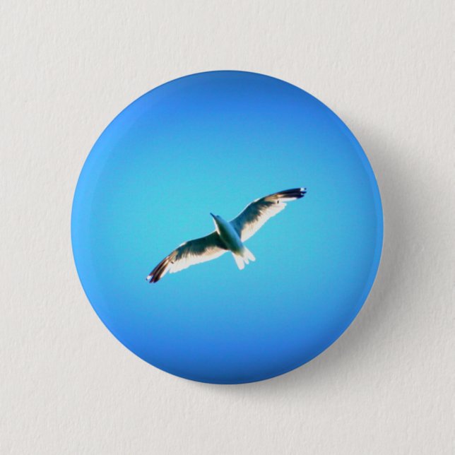 seagull on blue button (Front)