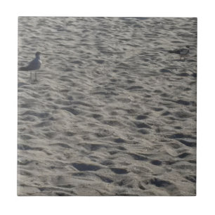 Seagull on Cocoa Beach Tile