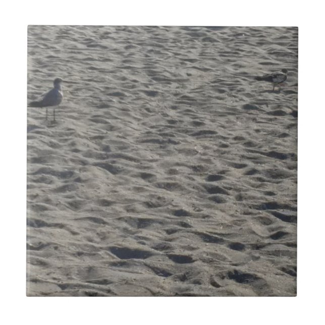 Seagull on Cocoa Beach Tile (Front)