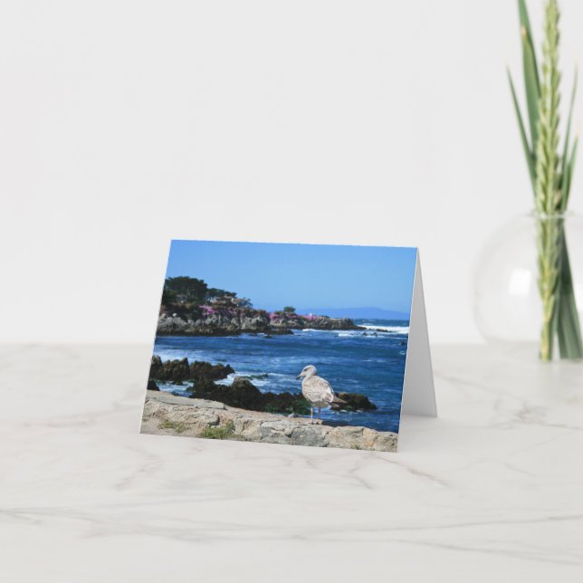 Seagull on Pacific Coastline, Blank Note Card (Front)