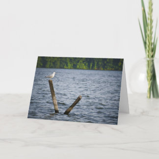 Seagull on Post Greeting Card. Card