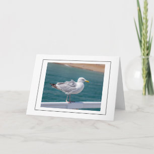 Seagull on railings greeting card