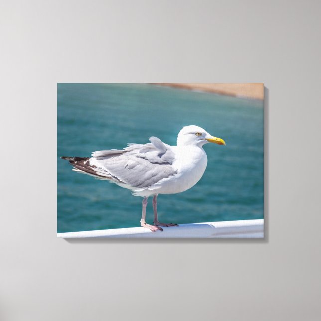 Seagull on railings view canvas print (Front)