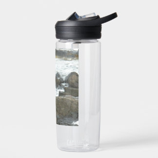 Seagull on rocks water bottle