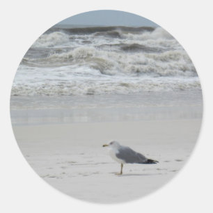 Seagull on the Beach Classic Round Sticker