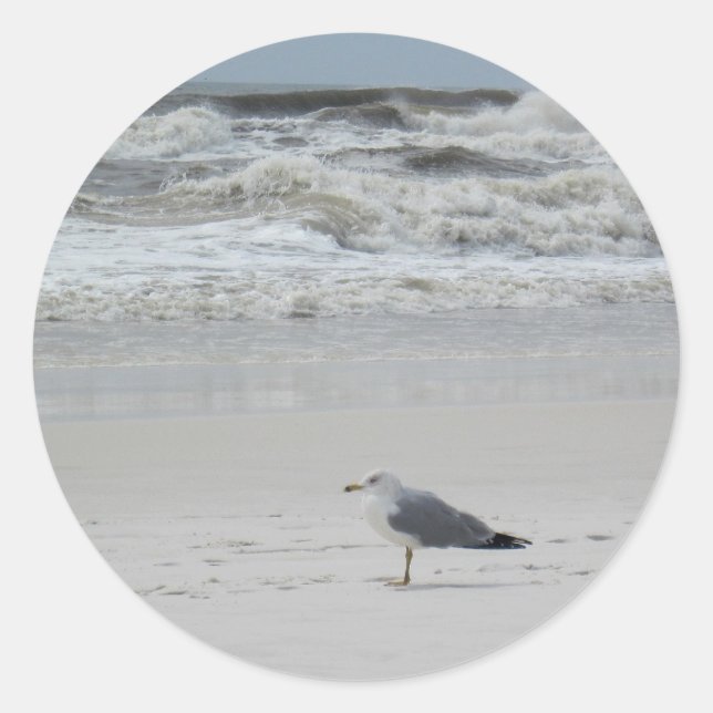 Seagull on the Beach Classic Round Sticker (Front)