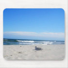 Seagull on the Beach Jersey Shore Ocean