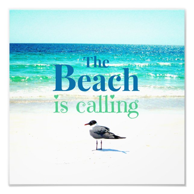 Seagull on the Beach Photo Print (Front)