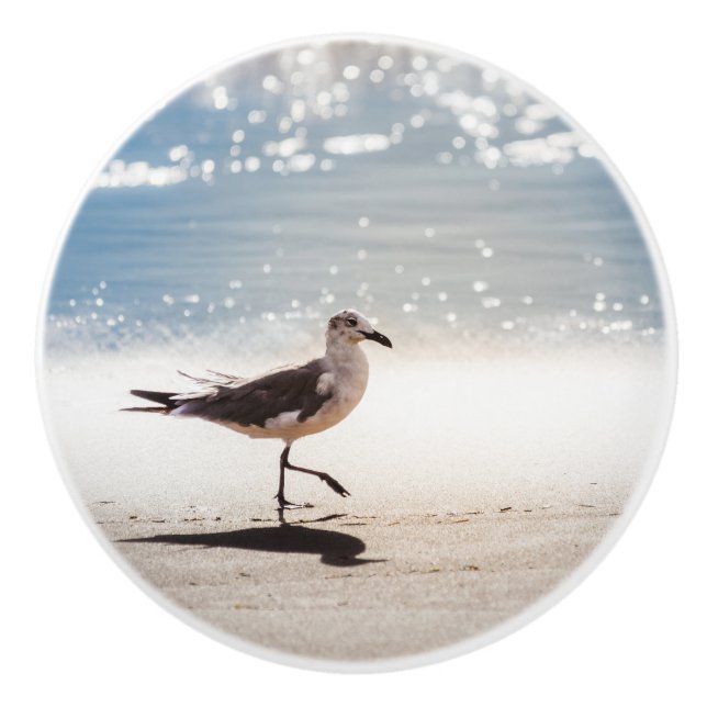 Seagull on Virginia Beach Ceramic Knob (Front)