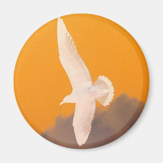 Seagull Orange Magnet